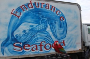 ENDURANCE-SEAFOOD-SIGN-300x199