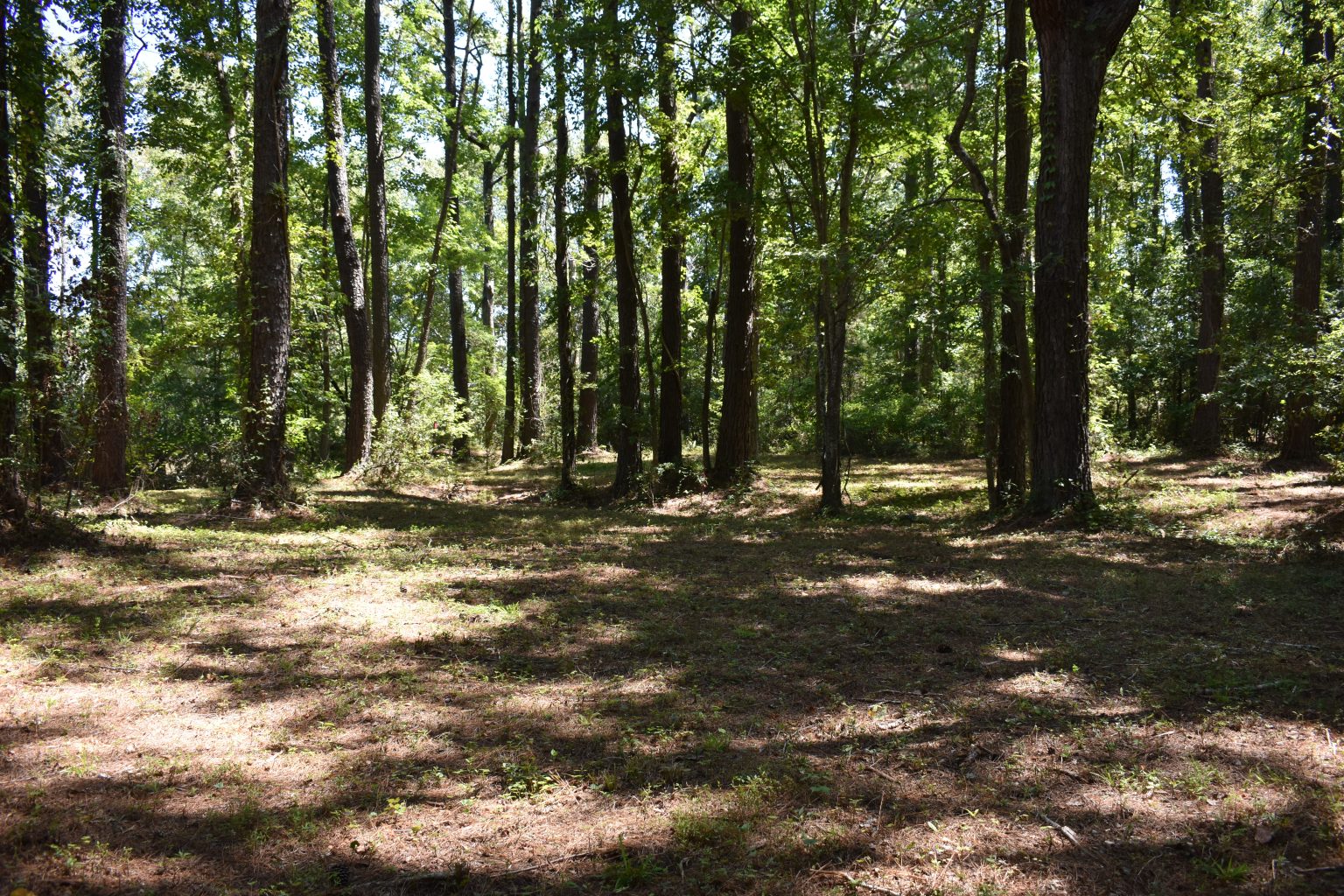 Peaceful Canal Front Lot Oriental NC Century 21 Sail/Loft Realty